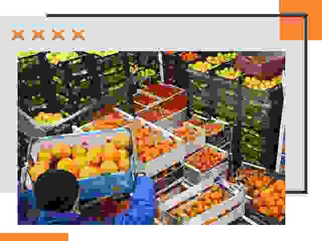 Перевозка скоропортящихся продуктов в Кыштыме